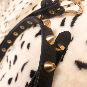 Black with Gold belt